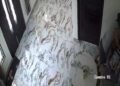 Kejam! ART di Palembang Terekam CCTV Menganiaya Anak Majikan, Polisi Lakukan Pengejaran