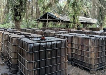 Polsek Keluang Gerebek Kilang Minyak Ilegal Berkapasitas 80 Drum, Tiga Pelaku Diamankan