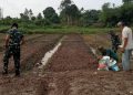 Warga Sambut Gembira Pemanfaatan Lahan Pertanian pada TMMD ke-129 Kodim 0418/Palembang