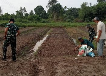 Warga Sambut Gembira Pemanfaatan Lahan Pertanian pada TMMD ke-129 Kodim 0418/Palembang