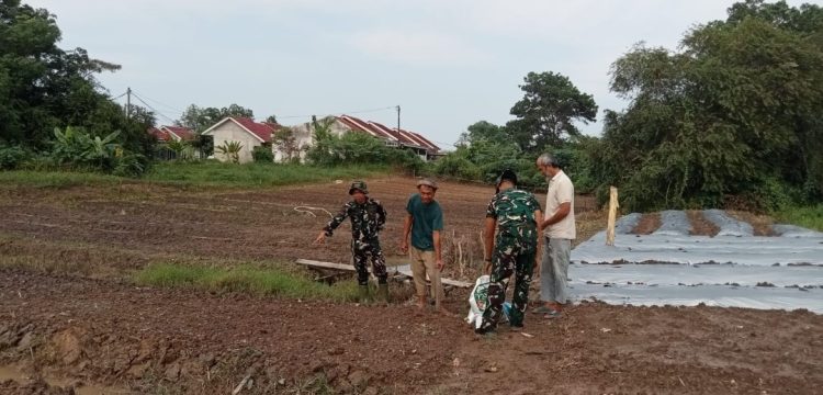 Lahan yang Lama Terbengkalai, Melalui Program TMMD Kodim 0418/Palembang Tumbuhkan Harapan Warga Talang Jambe
