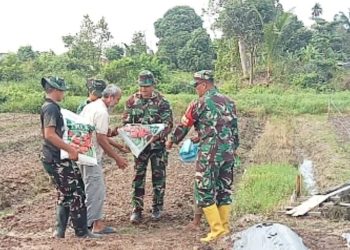 Dari Bibit Menjadi Harapan, TMMD Kodim 0418/Palembang Ajak Warga Talang Jambe Bangun Kemandirian Pangan