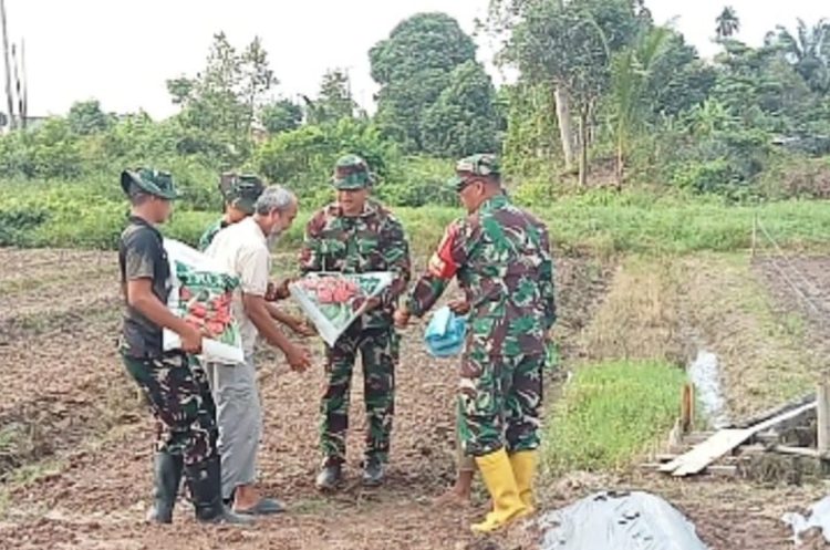 Dari Bibit Menjadi Harapan, TMMD Kodim 0418/Palembang Ajak Warga Talang Jambe Bangun Kemandirian Pangan