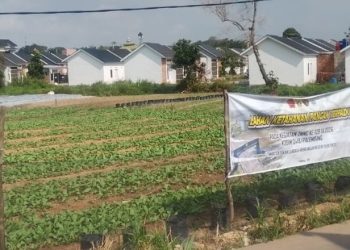 Semangat Prajurit TMMD Kodim 0418/Palembang Terlihat di Lahan Pertanian Ketahanan Pangan Talang Jambe