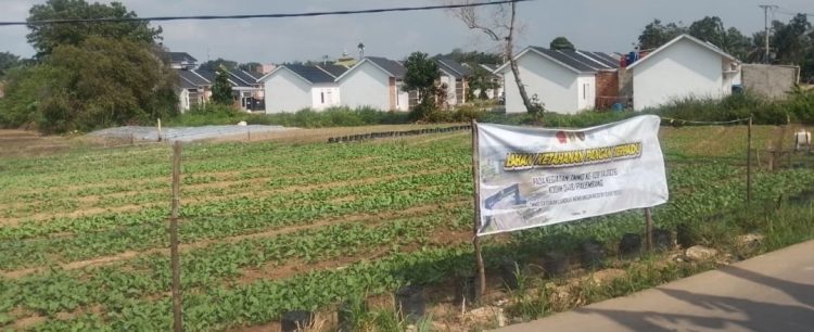 Semangat Prajurit TMMD Kodim 0418/Palembang Terlihat di Lahan Pertanian Ketahanan Pangan Talang Jambe
