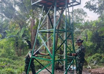 Pengecekan Tower Tandon Air Jadi Komitmen Satgas TMMD Hadirkan Infrastruktur Berkualitas