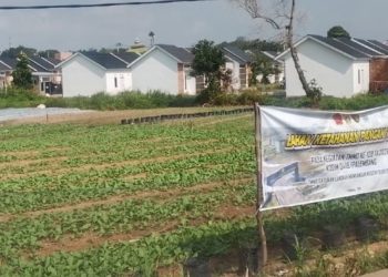 Penyiraman Rutin Jadi Bukti Disiplin Satgas TMMD Menjaga Program Ketahanan Pangan