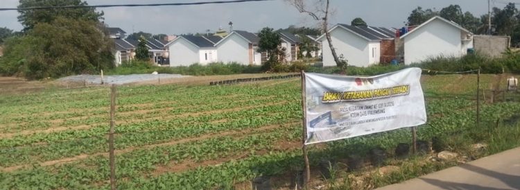 Penyiraman Rutin Jadi Bukti Disiplin Satgas TMMD Menjaga Program Ketahanan Pangan