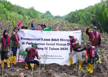 Rawat Alam di Tengah Aktivitas Industri, Kilang Plaju Konsisten Lestarikan Keanekaragaman Hayati