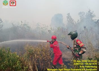 Babinsa Pulo Kerto Gerak Cepat Hadang Kobaran Api, 3 Hektare Lahan Terbakar