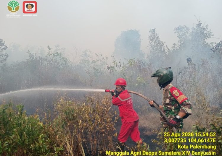 Babinsa Pulo Kerto Gerak Cepat Hadang Kobaran Api, 3 Hektare Lahan Terbakar