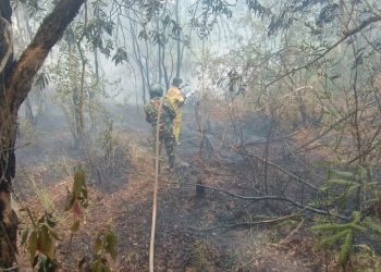 Babinsa Gandus Terjang Kobaran Api, 3,5 Hektare Karhutla Berhasil Dipadamkan