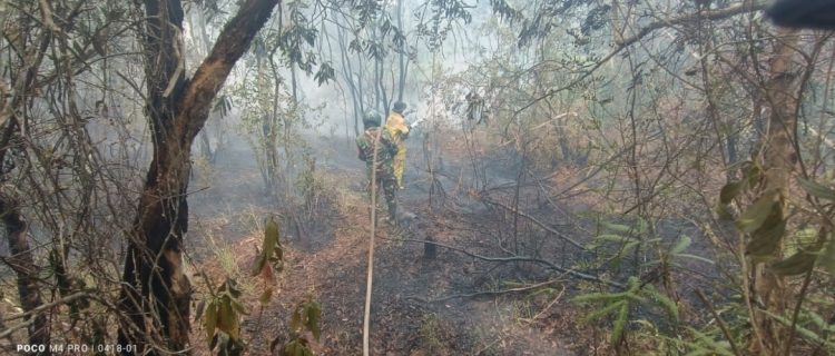 Babinsa Gandus Terjang Kobaran Api, 3,5 Hektare Karhutla Berhasil Dipadamkan