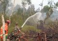 Tim Gabungan Berhasil Padamkan Karhutla di Pulo Kerto
