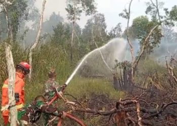 Tim Gabungan Berhasil Padamkan Karhutla di Pulo Kerto