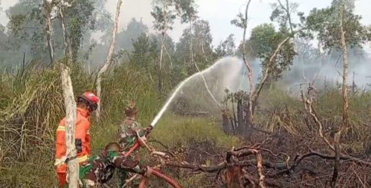 Tim Gabungan Berhasil Padamkan Karhutla di Pulo Kerto