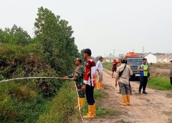 Babinsa Karya Mulya Bersama Aparat Gabungan dan Warga Berjibaku Padamkan Kebakaran Lahan 2 Hektare