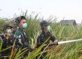 Ditengah Kepungan Asap, Personel Lanud Smh Kendalikan Api di Wilayah Kabupaten Ogan Ilir yang TelahTebakar