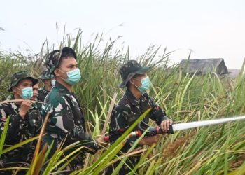 Ditengah Kepungan Asap, Personel Lanud Smh Kendalikan Api di Wilayah Kabupaten Ogan Ilir yang TelahTebakar