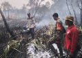 Babinsa Bersama Tim Gabungan Gerak Cepat Padamkan Kebakaran Lahan 1 Hektare di Pulokerto