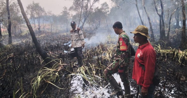 Babinsa Bersama Tim Gabungan Gerak Cepat Padamkan Kebakaran Lahan 1 Hektare di Pulokerto