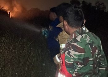 Babinsa Gerak Cepat Bantu Warga Padamkan Kebakaran Lahan di Bukit Baru Palembang