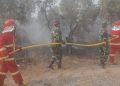 Babinsa Kodim 0418/Palembang Bersama Tim Gabungan Padamkan Kebakaran Lahan 5 Hektare