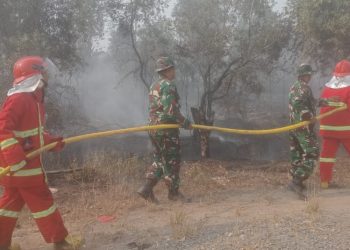Babinsa Kodim 0418/Palembang Bersama Tim Gabungan Padamkan Kebakaran Lahan 5 Hektare