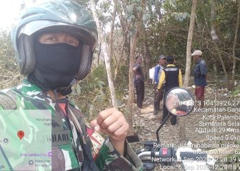 Kebakaran Lahan 5.000 Meter Persegi Terjadi di Gandus Palembang, Babinsa Kelurahan Pulo Kerto, Sertu Jauhari Ikut Padamkan Kebakaran