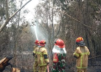 Kebakaran Lahan Meluas 3 Hektare di Karya Jaya, Babinsa dan Water Tank TNI AD Turun Padamkan Api
