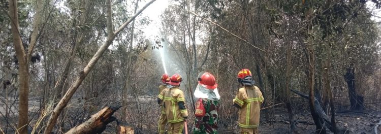 Kebakaran Lahan Meluas 3 Hektare di Karya Jaya, Babinsa dan Water Tank TNI AD Turun Padamkan Api