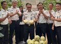 Panen Melon di SAE Rutan Palembang, Wujud Pembinaan Kemandirian dan Dukungan Ketahanan Pangan