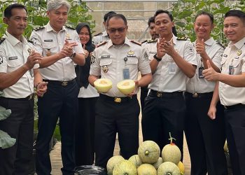 Panen Melon di SAE Rutan Palembang, Wujud Pembinaan Kemandirian dan Dukungan Ketahanan Pangan