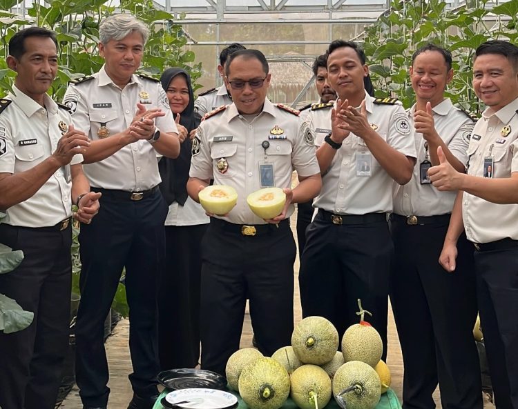 Panen Melon di SAE Rutan Palembang, Wujud Pembinaan Kemandirian dan Dukungan Ketahanan Pangan